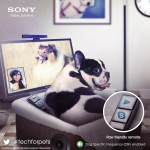 doggie-remote