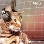 sony-cans